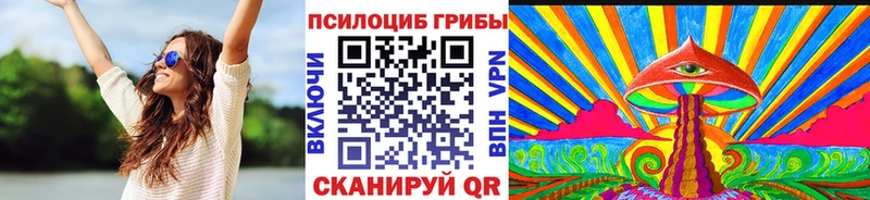 как найти закладки  Черняховск  МЕГА рабочий сайт  Псилоцибиновые грибы прущие грибы 