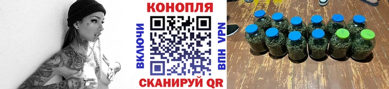 купить наркоту  Черняховск  нарко площадка телеграм  Бошки марихуана SATIVA & INDICA 